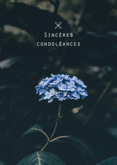 Carte condoléances fleurs, envoyer cette carte 
